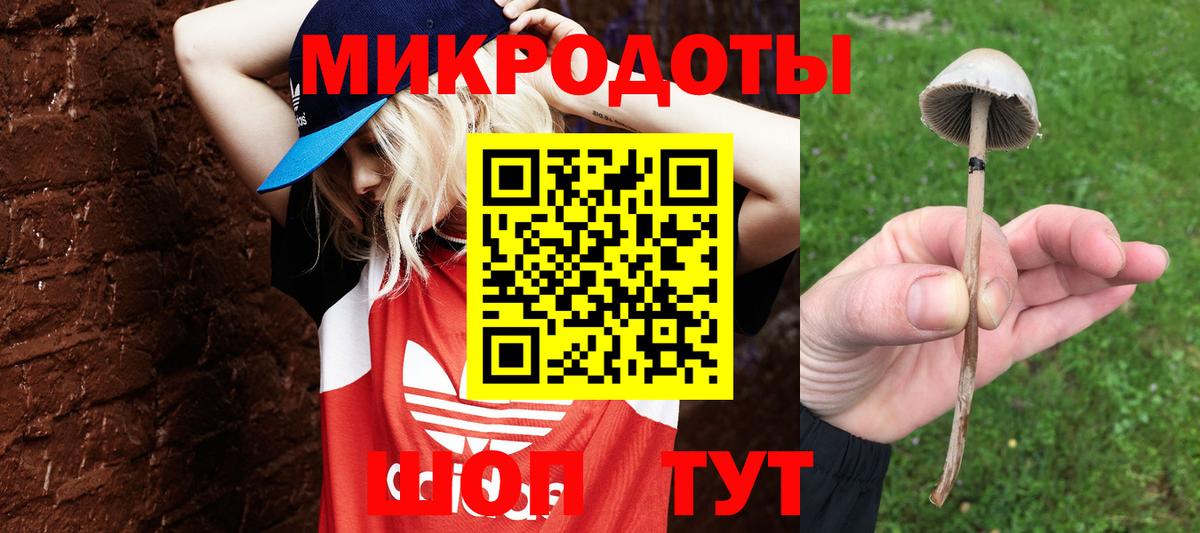 Галлюциногенные грибы ЛСД  Вход с VPN  Камышлов 